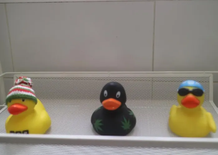 Calida Vivienda Turistica Centrica Junto Al Funicular Y Metro * בילבאו